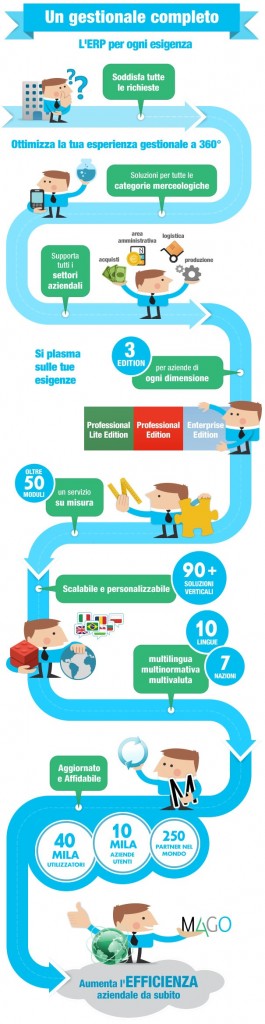 Infografica gestionale ERP